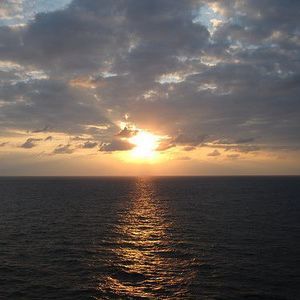 Meet your Posher, Paul